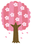 4_桜_150